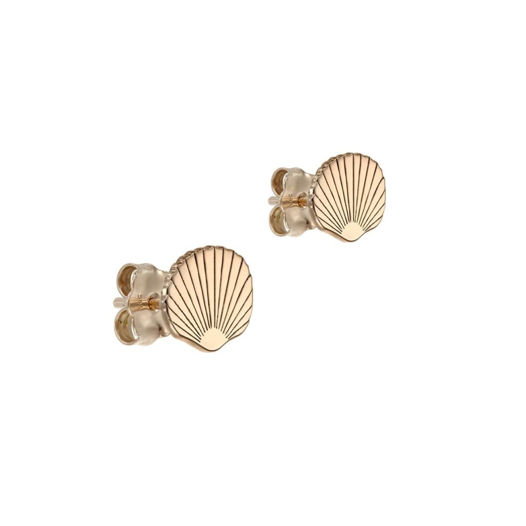 Stud Earrings Sea Shell in rose gold - Earrings
